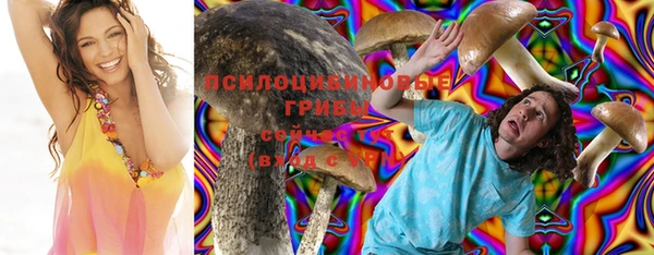 мдма Заволжск