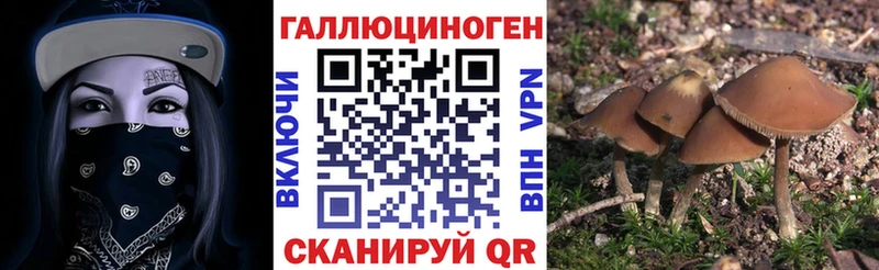 Купить закладки  Балахна  Галлюциногенные грибы прущие грибы 